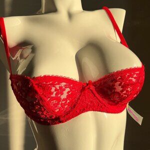 Vintage Lace 1980s Trendsetters Red Sheer Balconette Underwire Bra 36B NWT